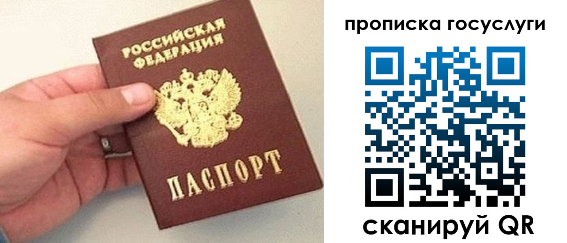 где прописаться в Порхове